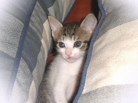 Eguzki Bild von Eguzki