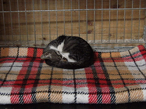 Simon Bild von Simon