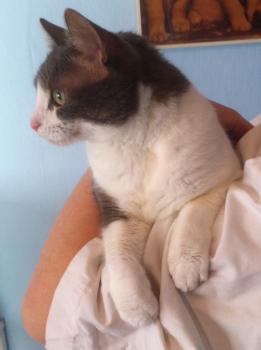 Paula Bild von Paula