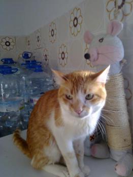 Curro Bild von Curro