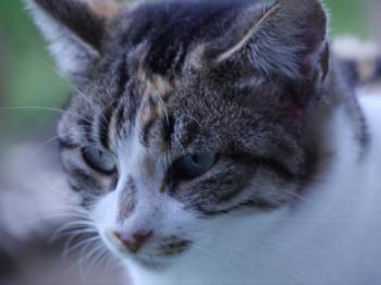 Lotte Bild von Lotte