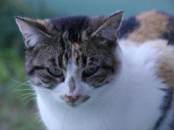 Lotte Bild von Lotte