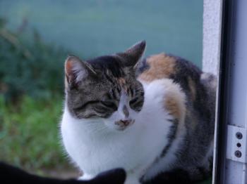Lotte Bild von Lotte