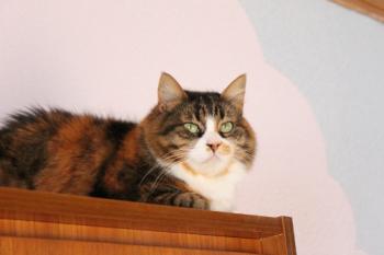 Olga Bild von Olga