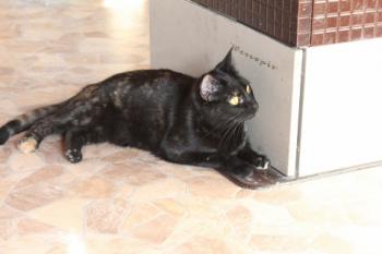 Penny Bild von Penny