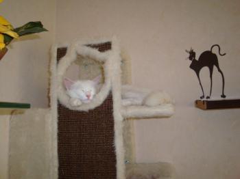 Bild von Cairo