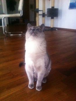 Sammy Bild von Sammy