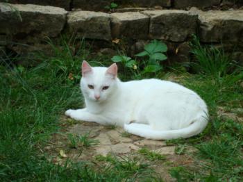 Sophia Bild von Sophia