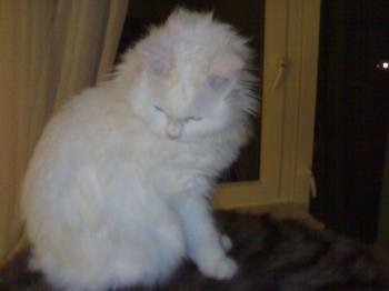 Maite Bild von Maite