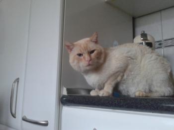 Mel Bild von Mel