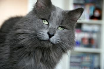 Maximiliano Bild von Maximiliano