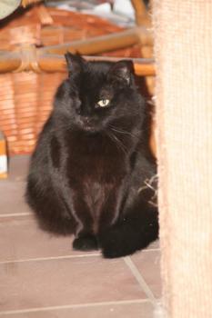 Nika Bild von Nika