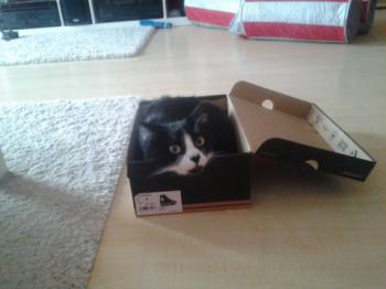 Thomas Bild von Thomas