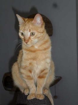 Samuel Bild von Samuel
