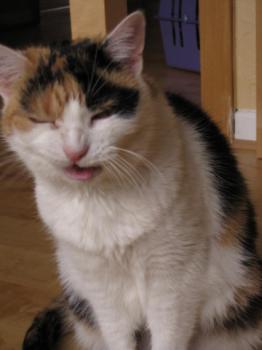Trixi Bild von Trixi
