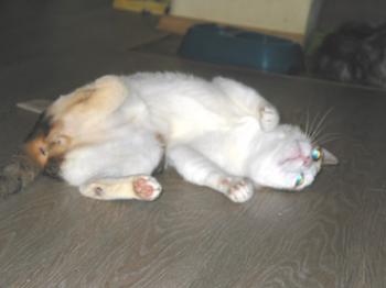 Hortelano Bild von Hortelano