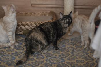 Fifi Bild von Fifi
