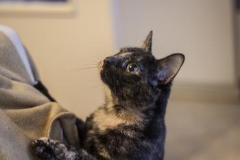 Fifi Bild von Fifi