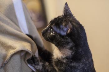 Fifi Bild von Fifi