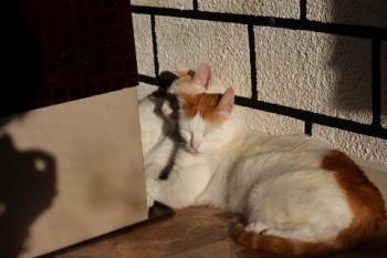 Chiqui Bild von Chiqui
