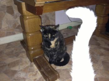 Lilly Bild von Lilly