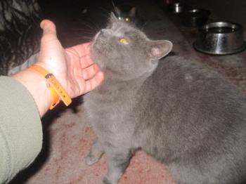 Willy Bild von Willy