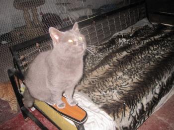 Willy Bild von Willy