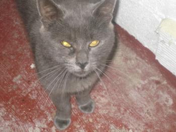 Willy Bild von Willy