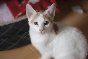 Bild von Magi