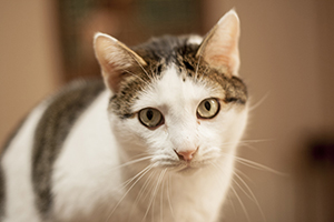 Ricardo Bild von Ricardo