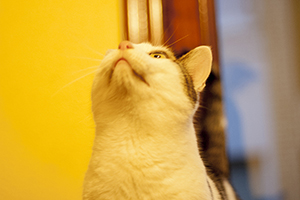Ricardo Bild von Ricardo