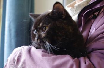 Lady Jule - Luisa Bild von Lady Jule-Luisa