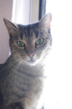 Paula Bild von Paula