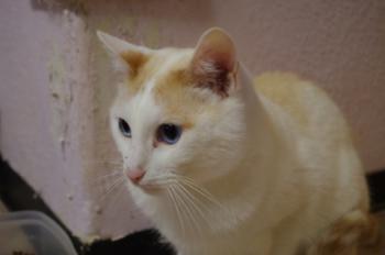 Chiqui Bild von Chiqui