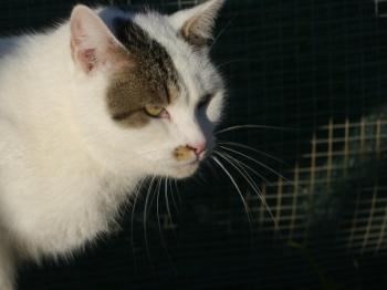 Mausi Bild von Mausi