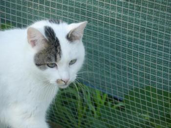 Mausi Bild von Mausi