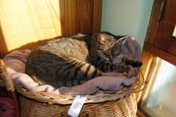 Migoya Bild von Migoya