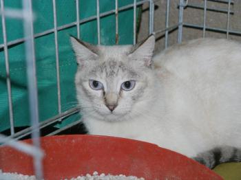Cyntia Bild von Cyntia