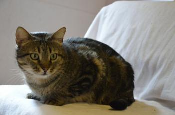 Felix Bild von Felix