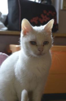 Ayda Bild von Ayda