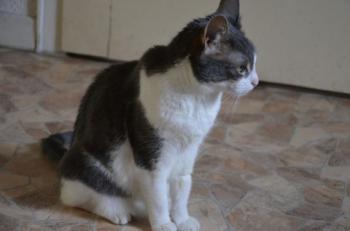 Paula Bild von Paula