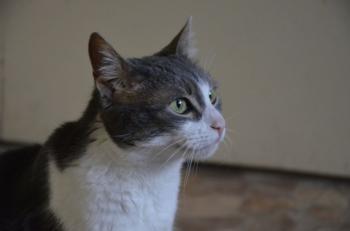 Paula Bild von Paula