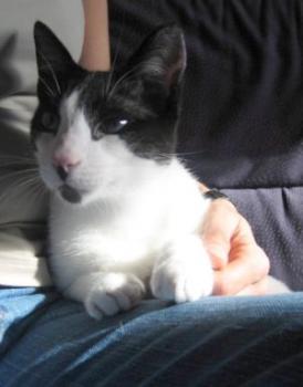 Pablo Bild von Pablo