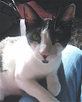 Pablo Bild von Pablo
