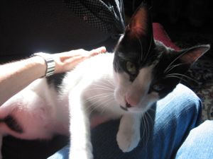 Pablo Bild von Pablo