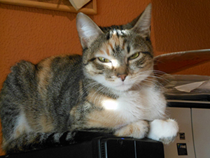 Anabel Bild von Anabel