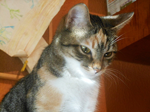 Anabel Bild von Anabel
