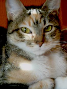 Anabel Bild von Anabel