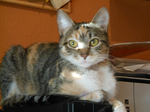 Anabel Bild von Anabel