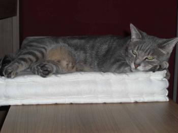 Deborah Bild von Deborah